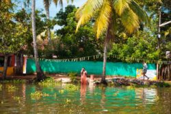 kerala-back-waters