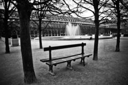 Tirage Photo de Paris – Banc Jardin du Palais Royal Image Noir et Blanc