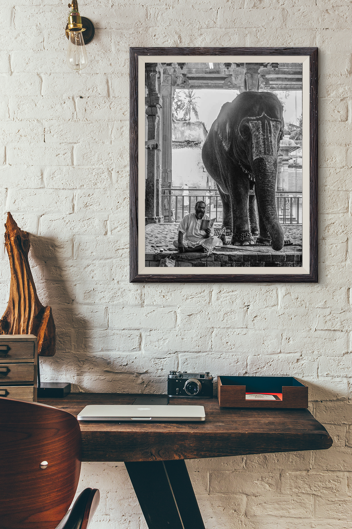 Madurai Temple Elephant Tamil Nadu