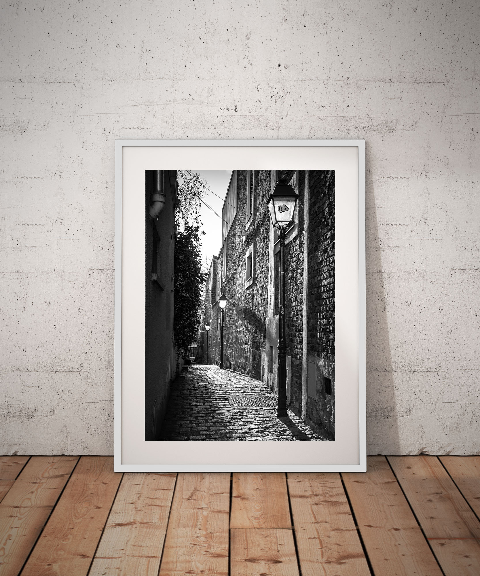 Tirage Photo de Paris Passage Plantin Belleville