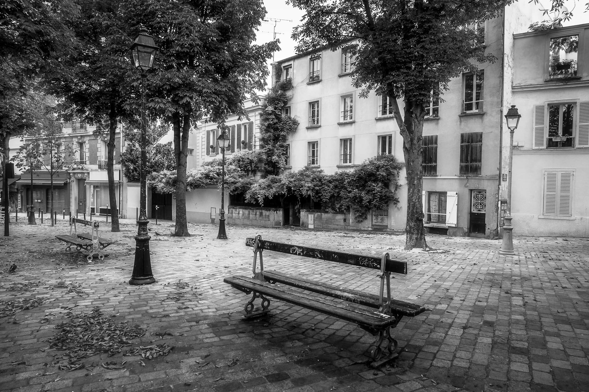 Photo Belleville Ménilmontant Place du Guignier Noir et Blanc
