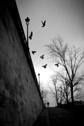 Tirage Photo Paris Ile Saint Louis