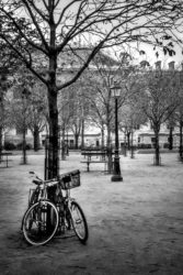 Photo Paris Place Dauphine Noir et Blanc