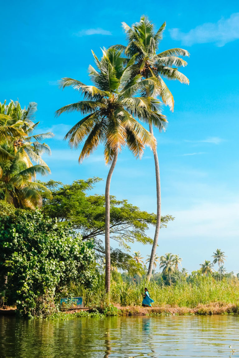 Photo Kerala Backwaters