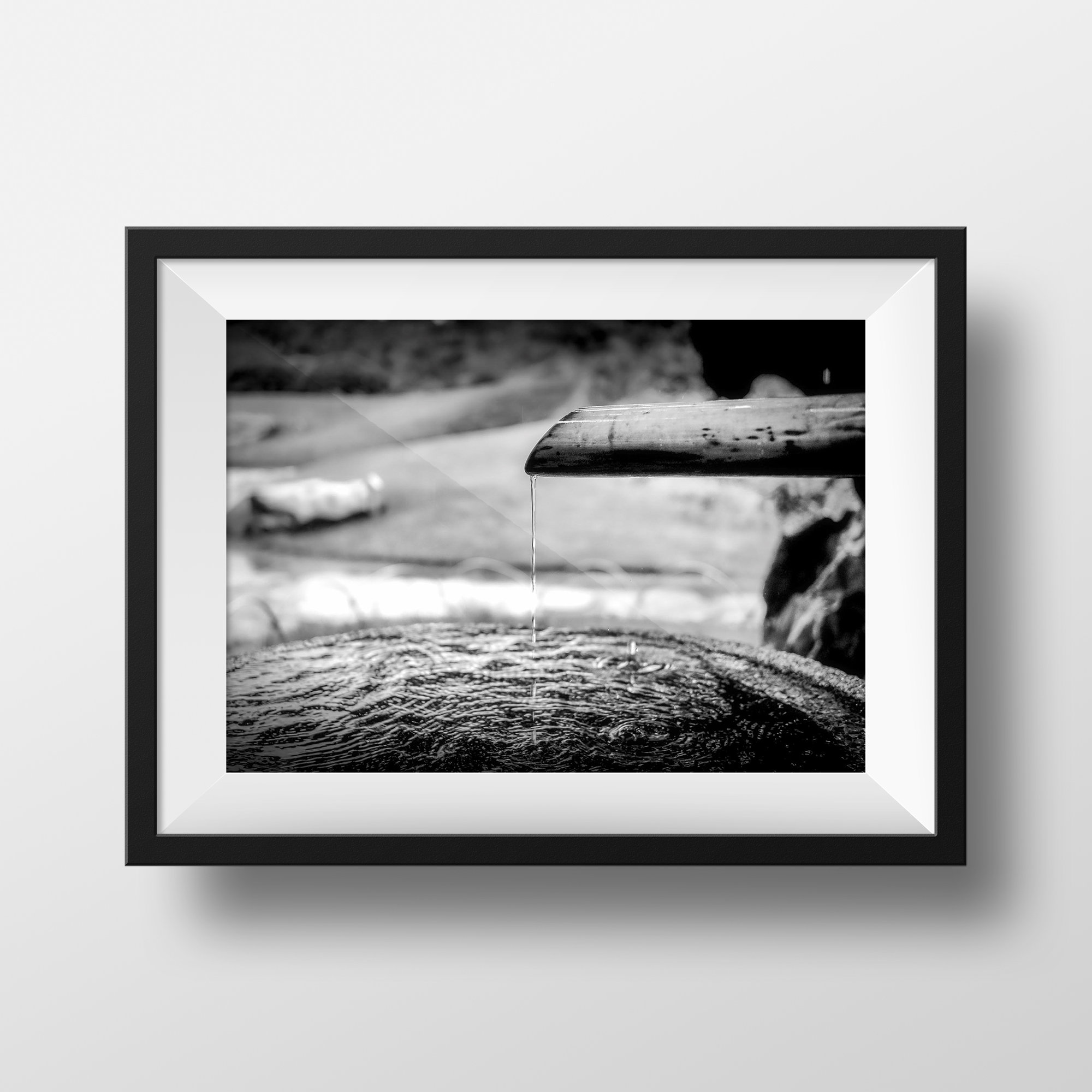 Tokyo Japon Kiyosumi Jardin Japonais