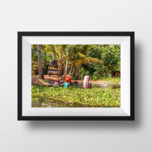 Photo Couleur Kerala Backwaters Alleppey