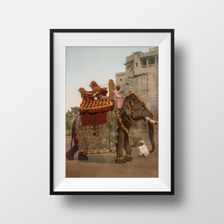 Photo Ancienne Inde Elephant - Tamil Nadu Inde du Sud Poster Vintage Affiche Photographie Rétro Décoration Murale