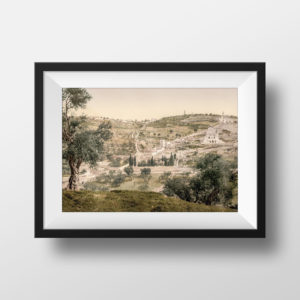 Photo Ancienne Jerusalem Le Mont des Oliviers