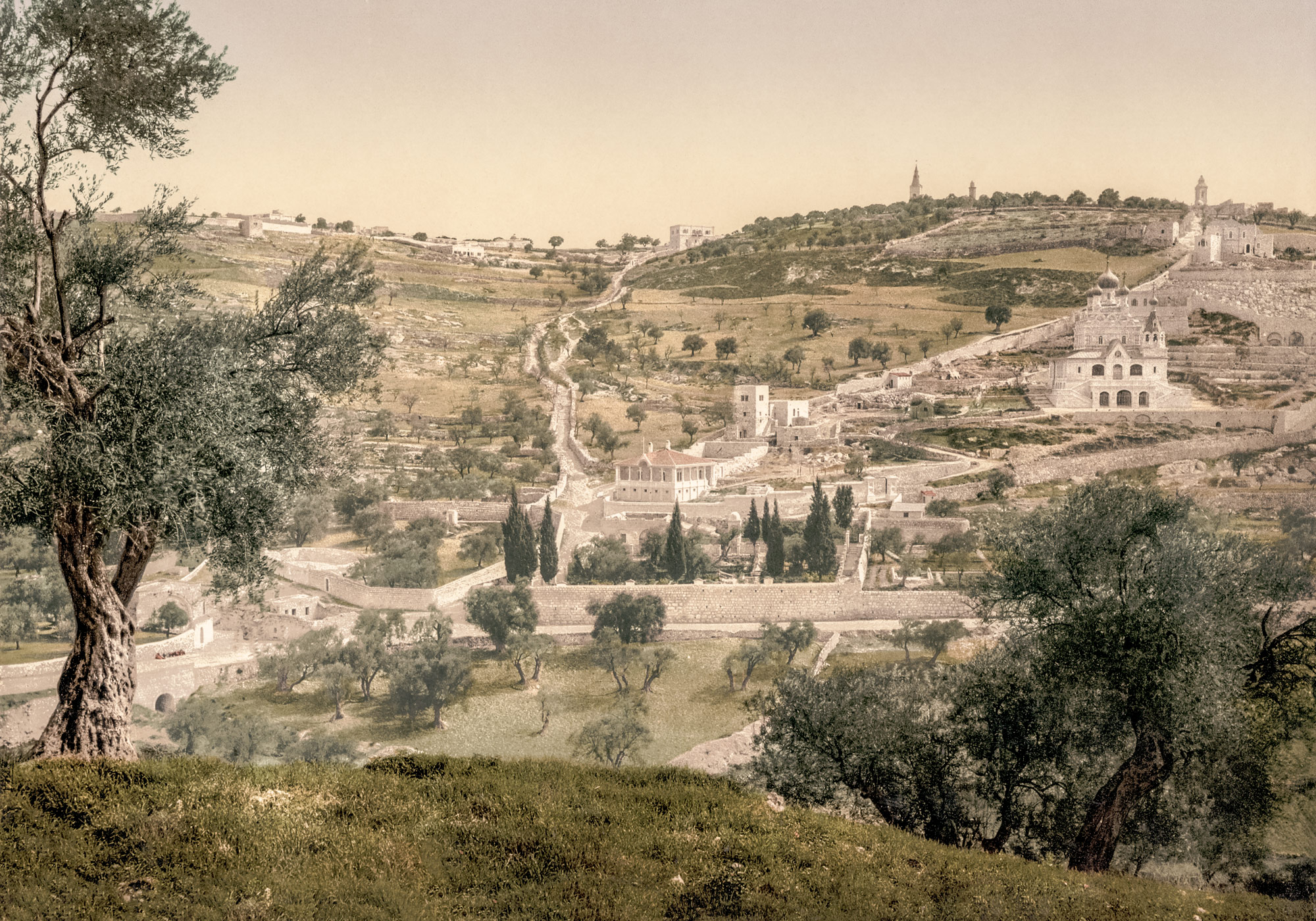 Photo Ancienne Jerusalem Le Mont des Oliviers