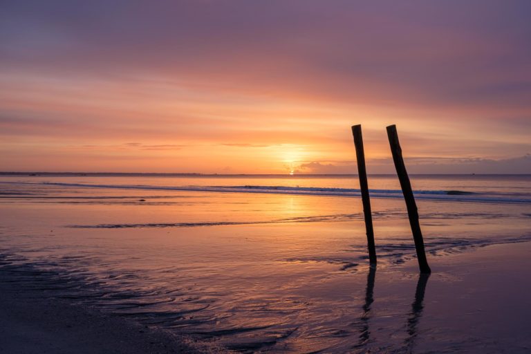 Plage Paysage Digue Bois Troncs