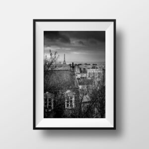 Paris La Tour Eiffel et les Toits de Montmartre