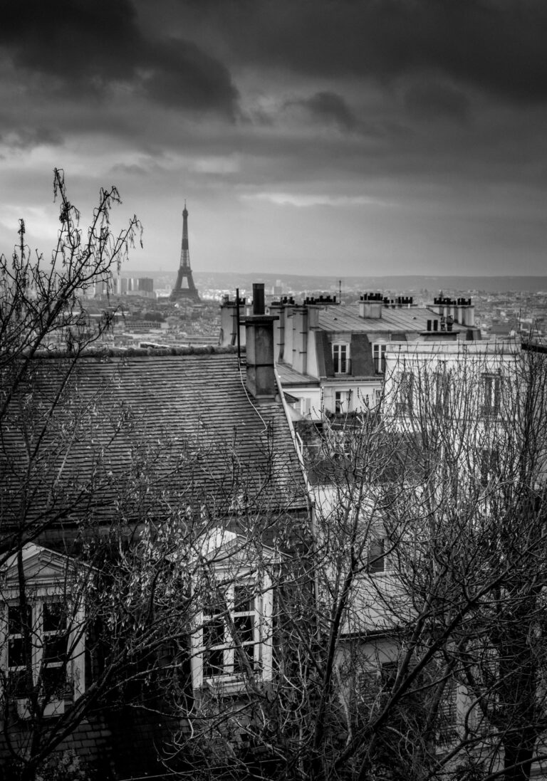 Paris La Tour Eiffel et les Toits de Montmartre