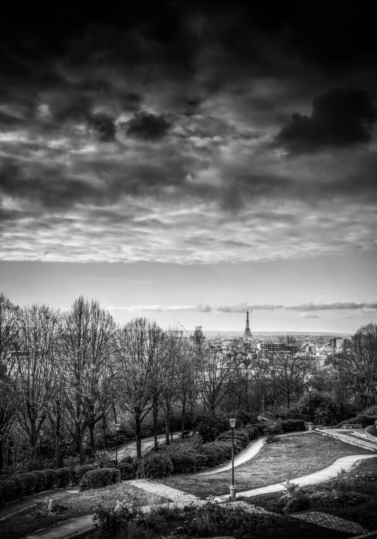 Paris Jardin Belleville Tour Eiffel en Noir et Blanc