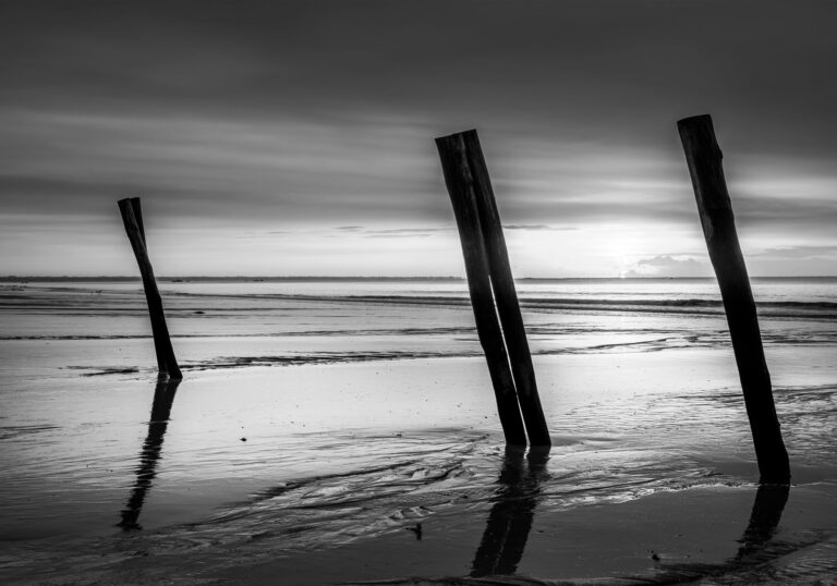Bretagne Bord de Mer Plage Troncs digue