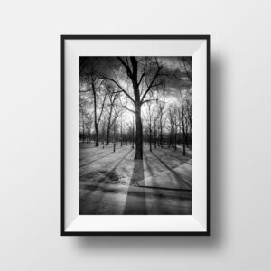 Photo de Paris Jardin du Luxembourg