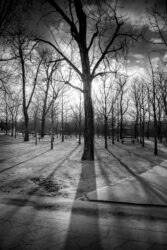 Photo de Paris Jardin du Luxembourg