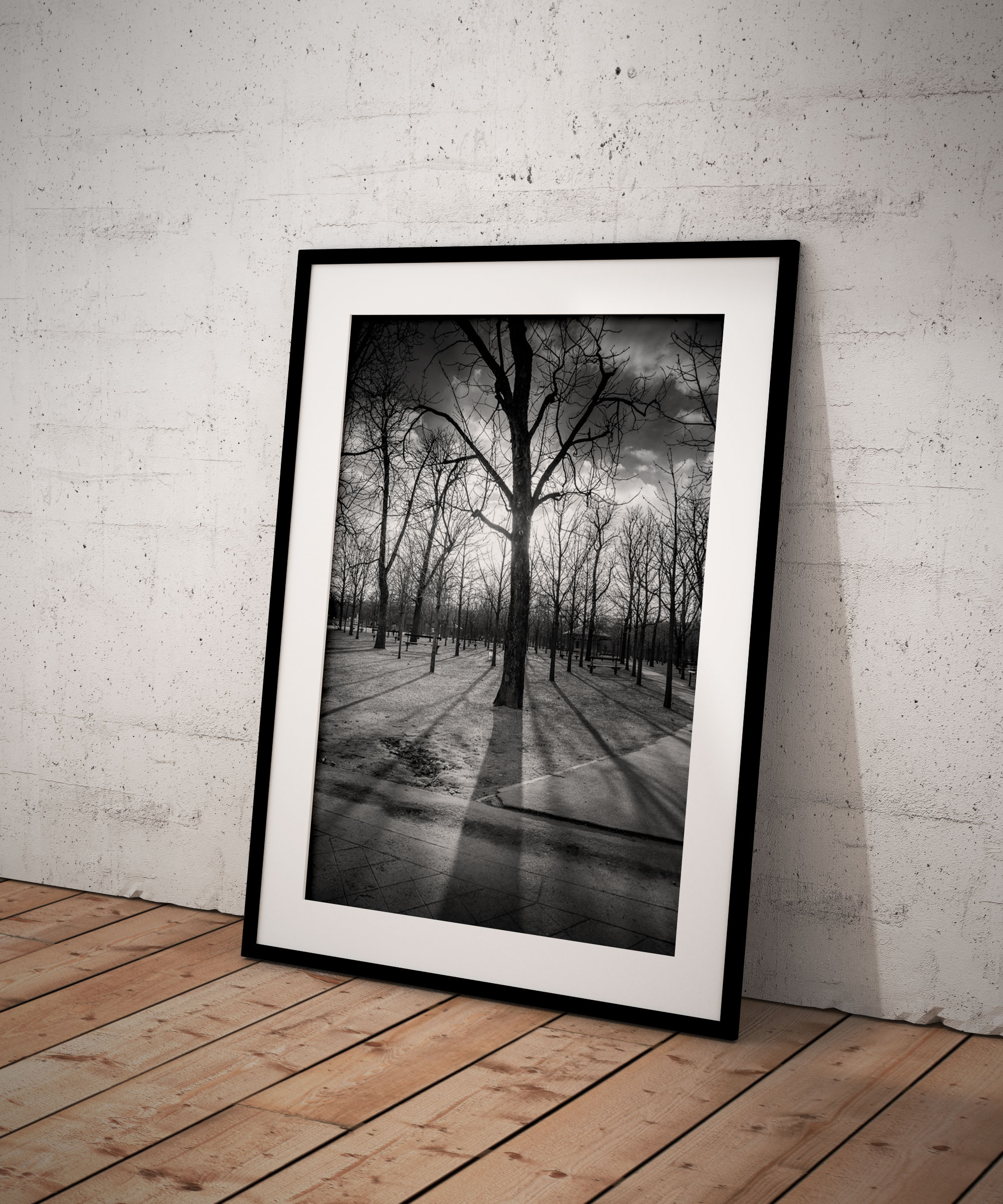 Photo de Paris Jardin du Luxembourg
