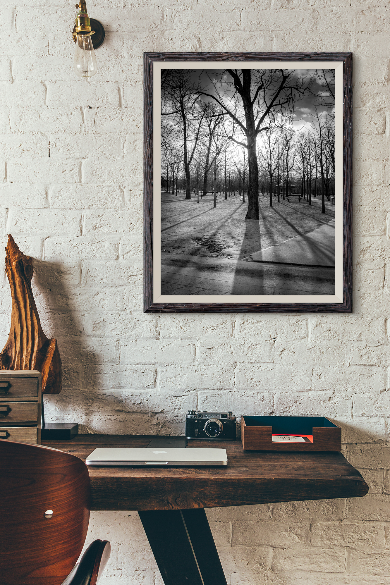 Photo de Paris Jardin du Luxembourg