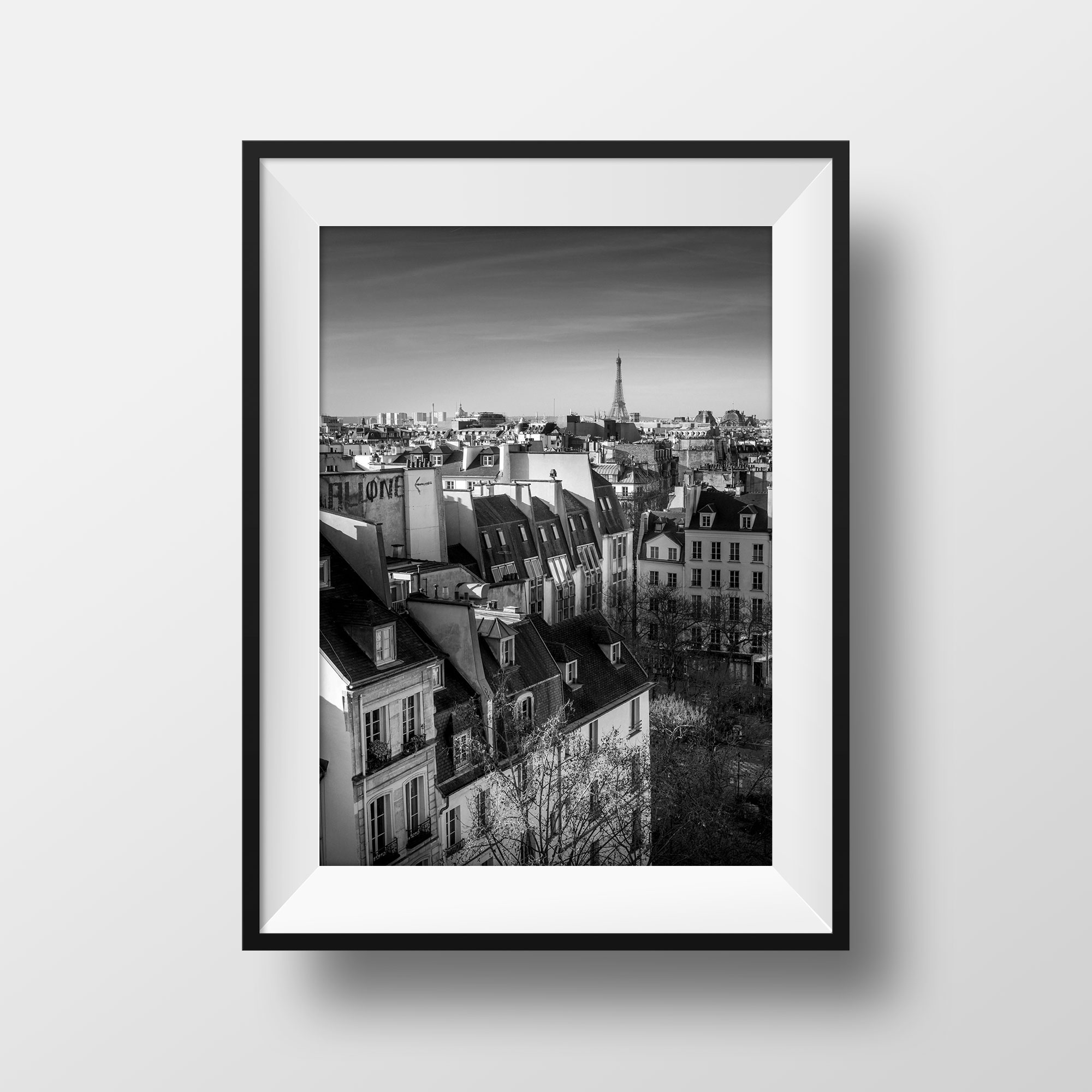 Photo de Paris Les Toits et la Tour Eiffel
