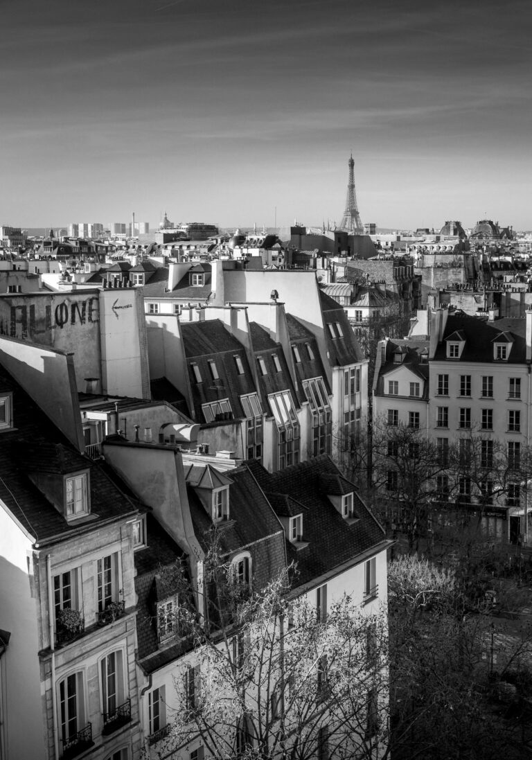 Photo de Paris Les Toits et la Tour Eiffel