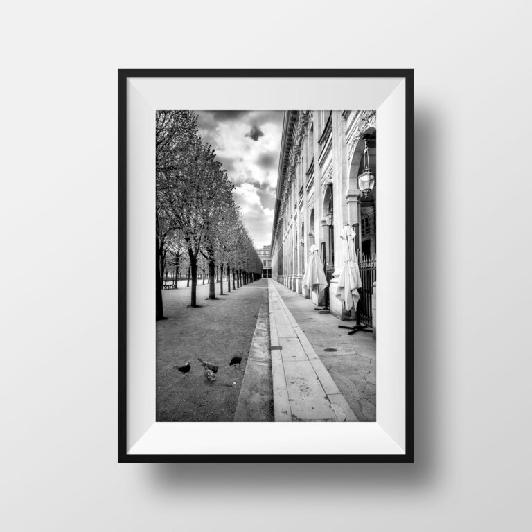 Tirage Photo Paris Noir et Blanc - Jardin du Palais Royal Pigeons Typique Image Scène de rue Poster Affiche Décoration Murale