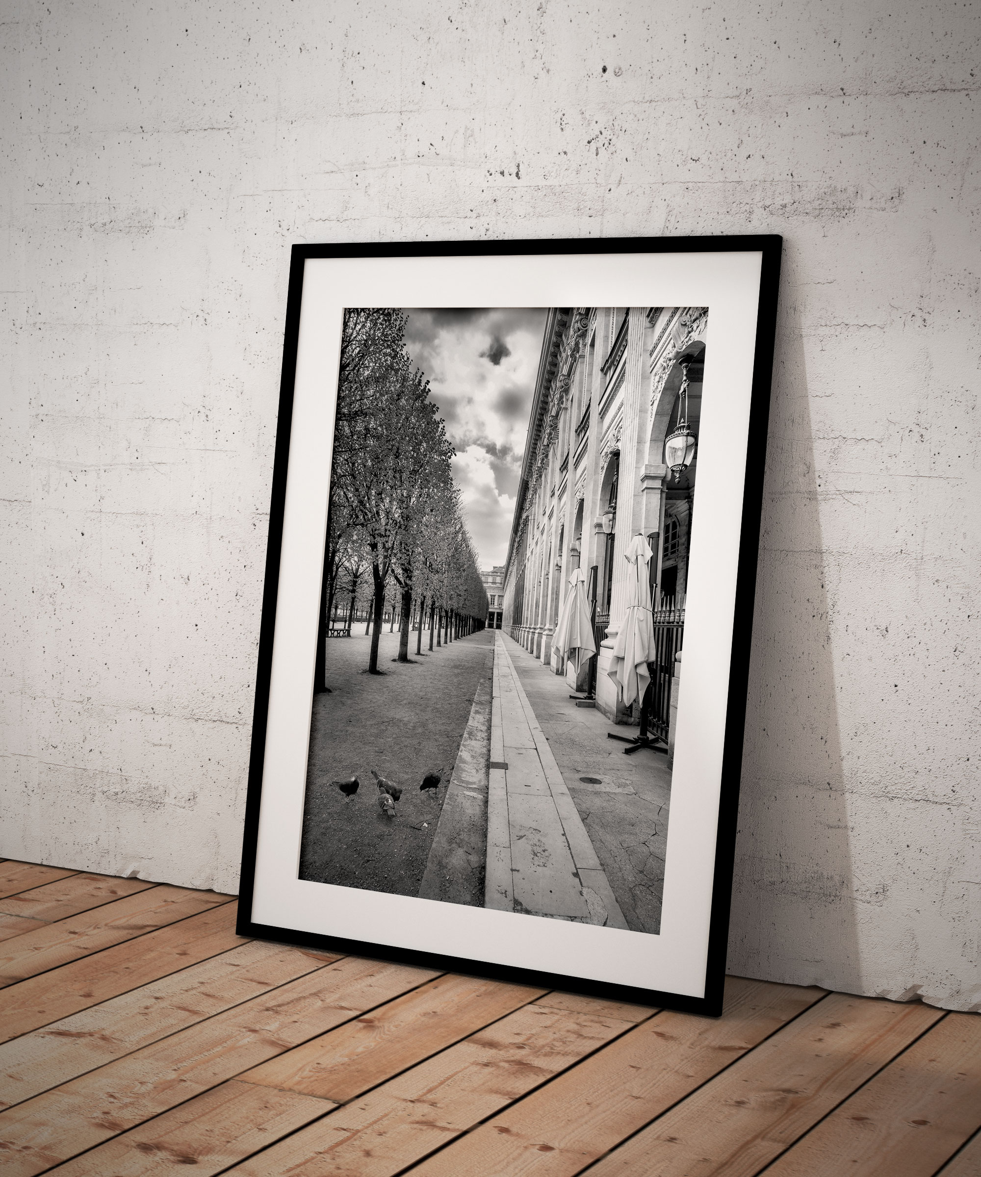 Tirage Photo Paris Noir et Blanc - Jardin du Palais Royal Pigeons Typique Image Scène de rue Poster Affiche Décoration Murale – Image 2