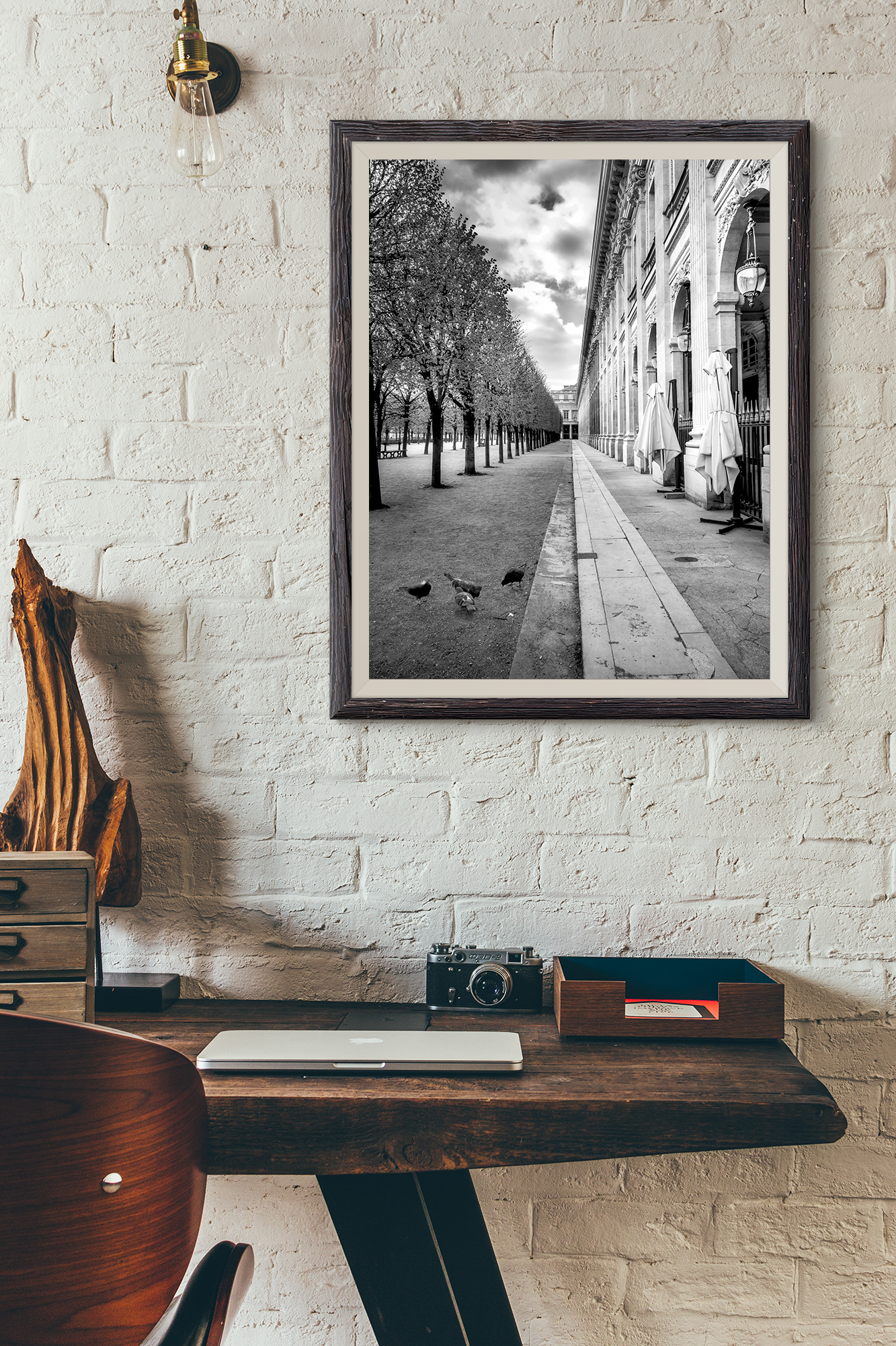 Photo Noir et blanc Jardin du Palais Royal Pigeons
