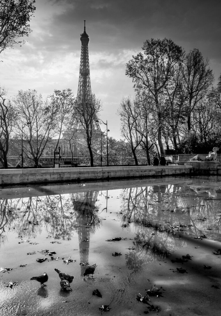 Photo Paris La Tour Eiffel Palais de Tokyo