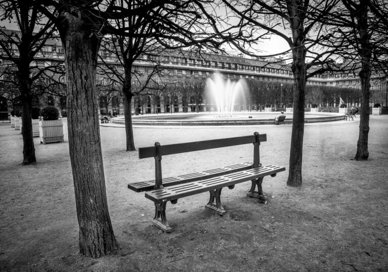 Photo de Paris – Banc Jardin du Palais Royal
