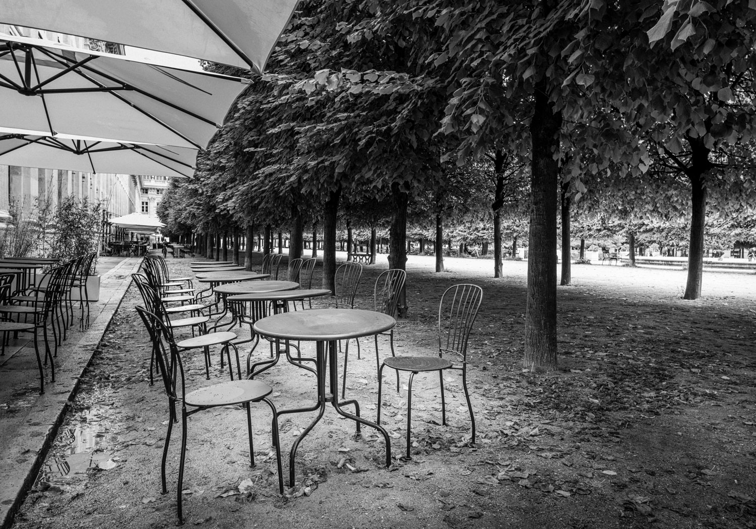 Jardin du Palais Royal Terrasse Café