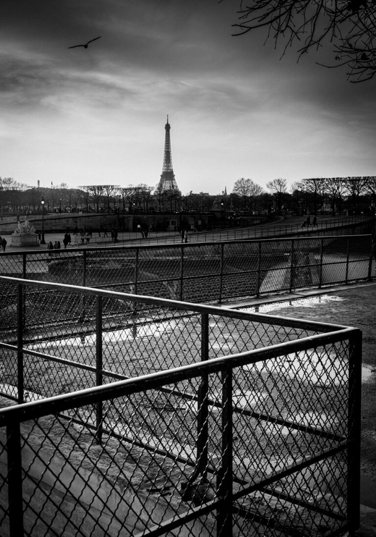 Tirage Photo Paris Tour Eiffel Jardin des Tuileries