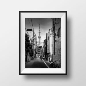 Photo Noir et Blanc Tokyo Sky tree