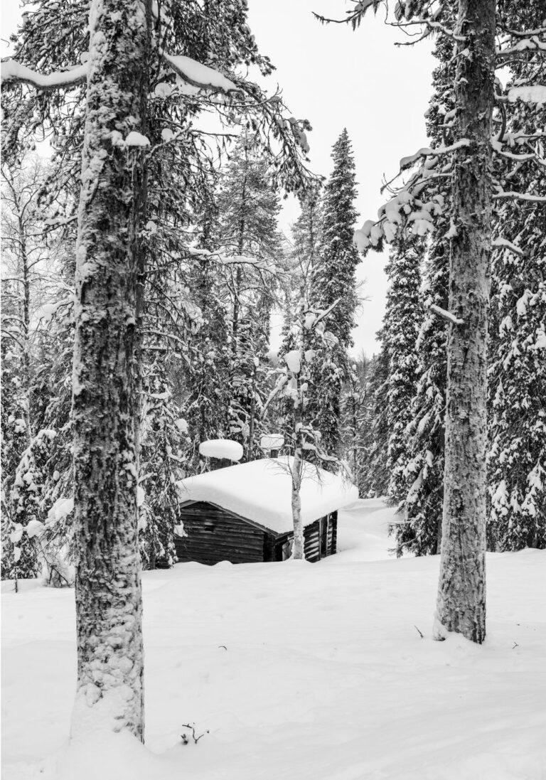Tirage Photo Laponie – Finlande Paysage Neige