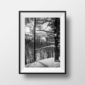 Tirage Photo Laponie – Finlande Paysage Neige Noir et Blanc