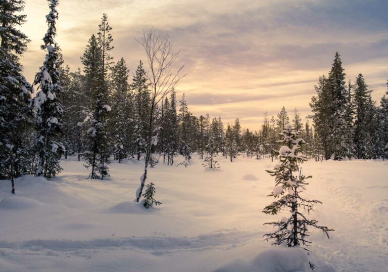 Tirage Photo Laponie – Paysage Finlande Neige Coucher de Soleil en Couleur Décoration Murale