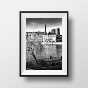 Notre Dame Paris La Seine et l'Ile de la Cité Vieux