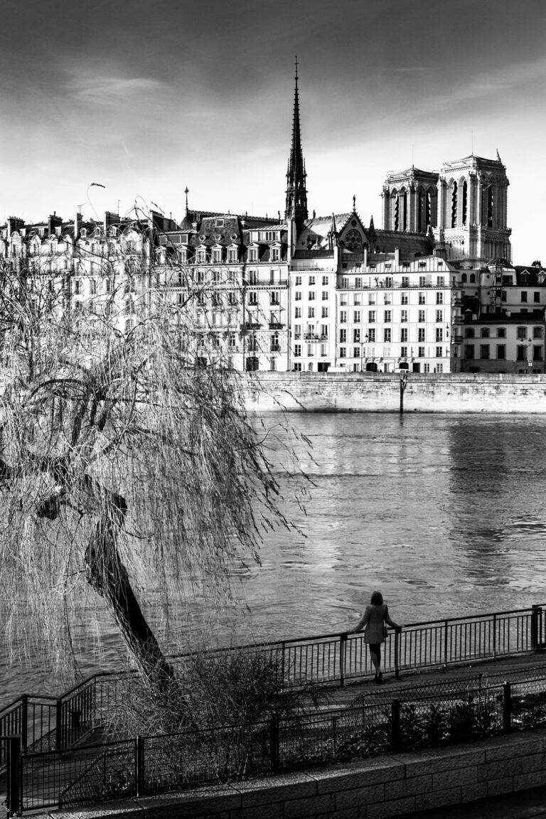 Notre Dame Paris La Seine et l'Ile de la Cité VieuxNotre Dame Paris La Seine et l'Ile de la Cité Vieux