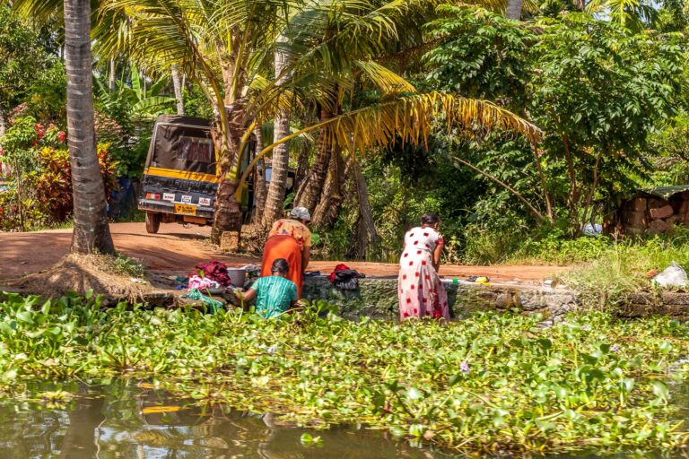 kerala-back-waters-lessive