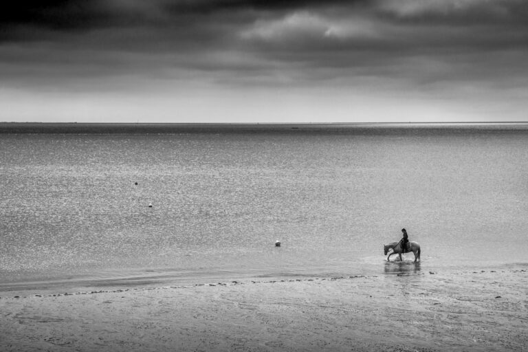 Photo Noir et Blanc Bretagne - Finistère Plage Cheval Cavalière