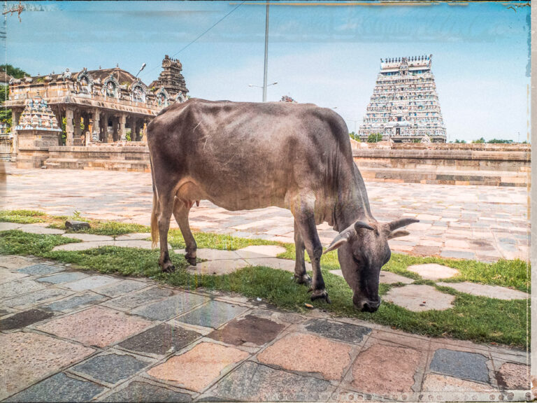 Chidambaran Temple Inde Tamil Nadu