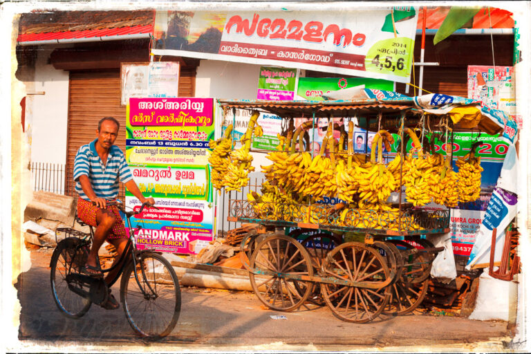 Cochin Inde Scène de rue homme en vélo