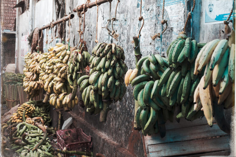 Inde Cochin market