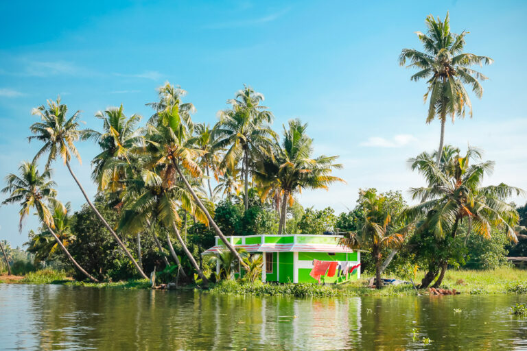 Inde Kerala Back Waters couleur