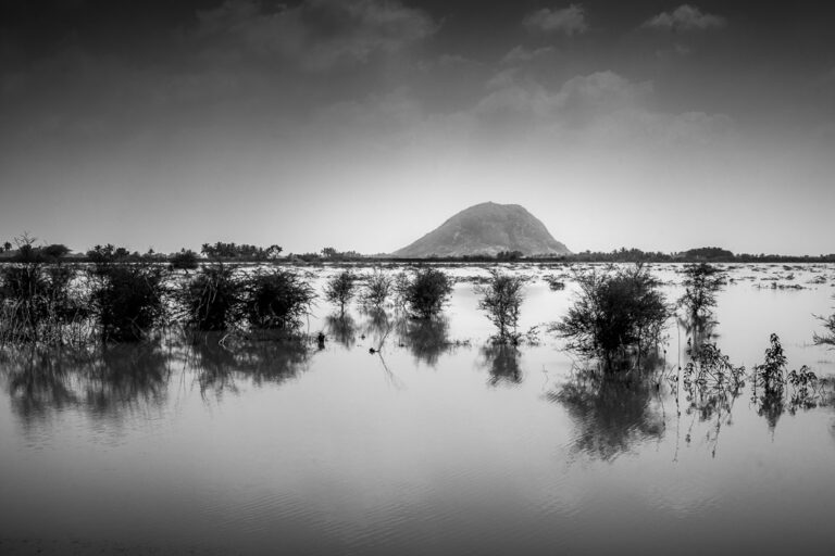 Inde Tamil Nadu paysage noir et blanc