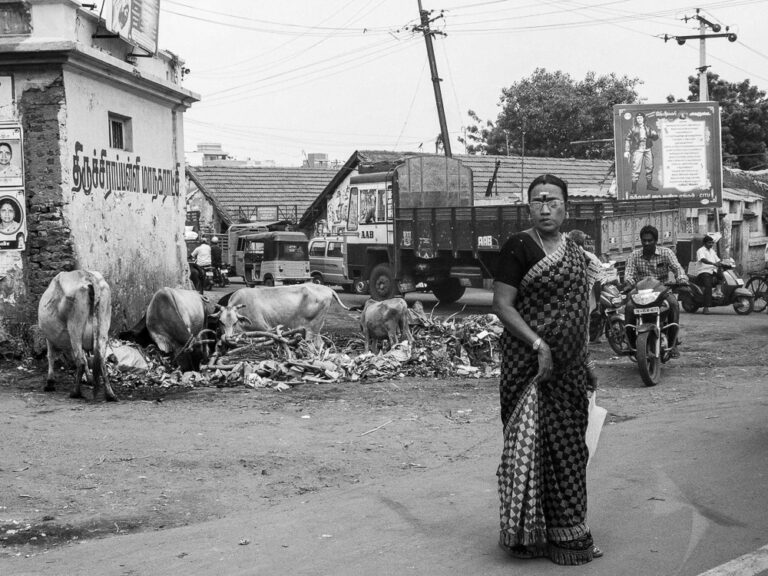 Inde du Sud photo de rue femme en Sari