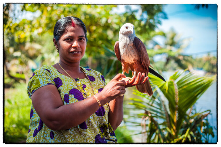 Kerala Inde Back Waters le femme et l'aigle