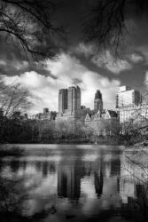 New-York Central Park Black and white