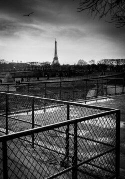 Tirage Photo Paris Tour Eiffel Jardin des Tuileries Tirage Photo Paris Tour Eiffel Jardin des Tuileries