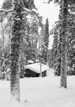 Tirage Photo Laponie – Finlande Paysage Neige Tirage Photo Laponie – Finlande Paysage Neige
