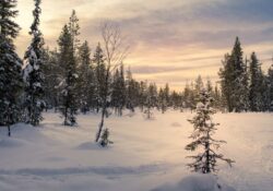 Tirage Photo Laponie – Paysage Finlande Neige Coucher de Soleil en Couleur Décoration Murale Tirage Photo Laponie – Paysage Finlande Neige Coucher de Soleil en Couleur Décoration Murale